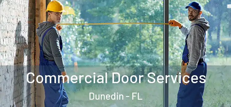 Commercial Door Services Dunedin - FL