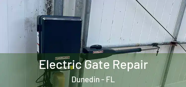 Electric Gate Repair Dunedin - FL