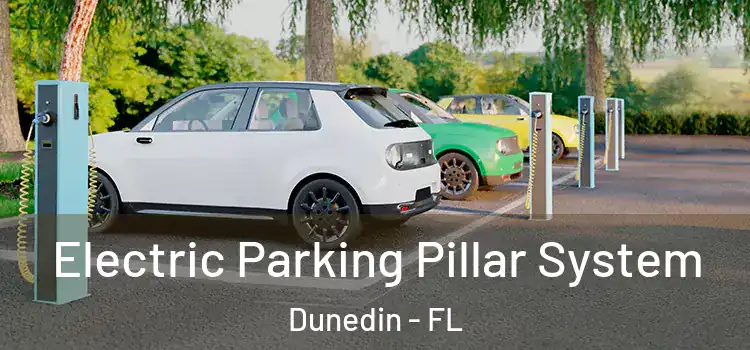 Electric Parking Pillar System Dunedin - FL