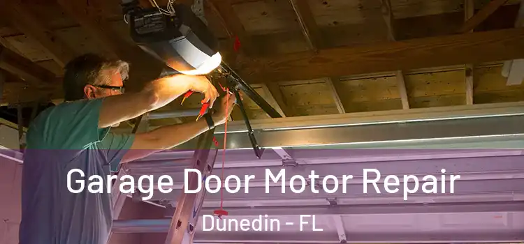  Garage Door Motor Repair Dunedin - FL