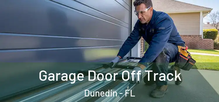  Garage Door Off Track Dunedin - FL
