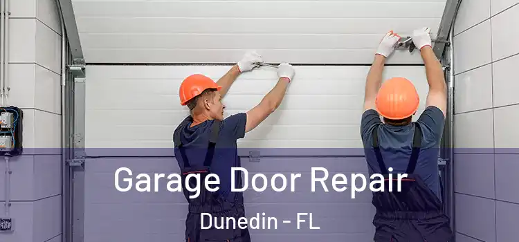  Garage Door Repair Dunedin - FL