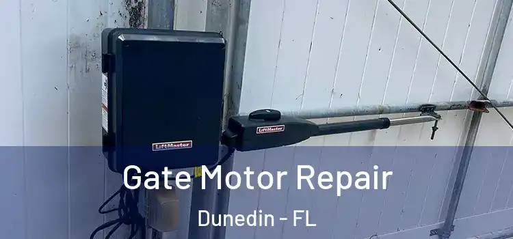  Gate Motor Repair Dunedin - FL