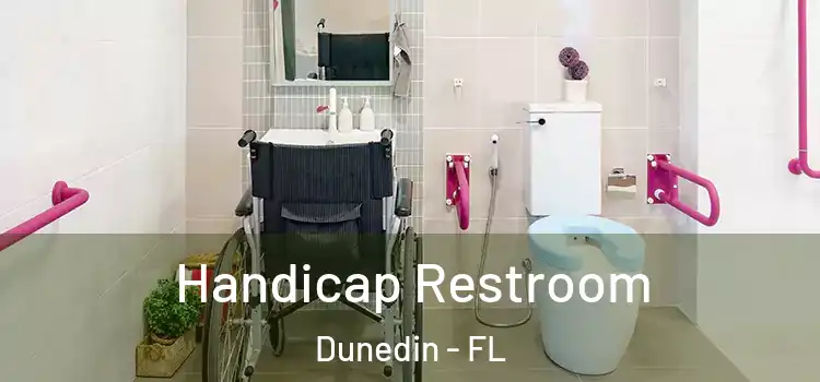 Handicap Restroom Dunedin - FL