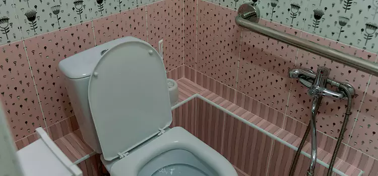 Meeting Diverse Needs With Accessible Restroom Solutions in Dunedin, FL