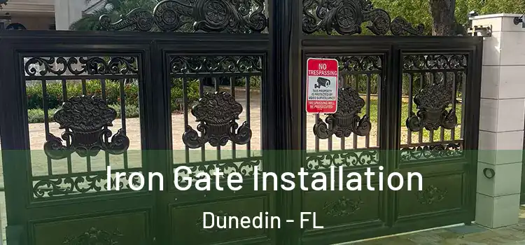  Iron Gate Installation Dunedin - FL