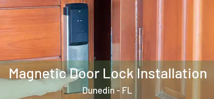  Magnetic Door Lock Installation Dunedin - FL