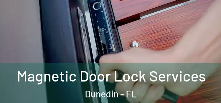  Magnetic Door Lock Services Dunedin - FL