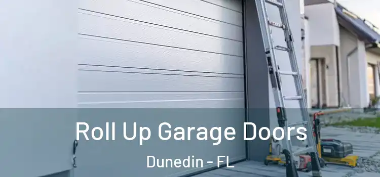  Roll Up Garage Doors Dunedin - FL