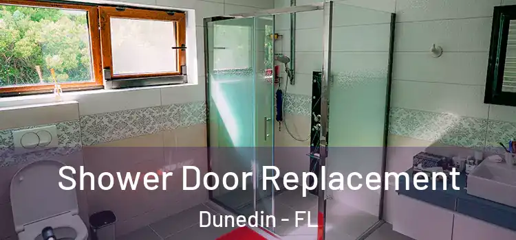  Shower Door Replacement Dunedin - FL