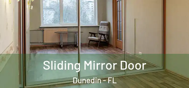  Sliding Mirror Door Dunedin - FL